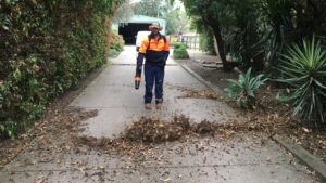 C2A supported employment in Melbourne