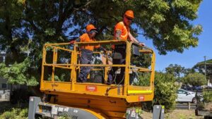Grounds Maintenance Contract Victoria: 5 Key Signs